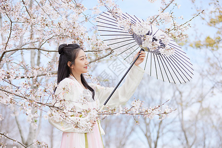 古风汉服樱花美女撑伞赏花图片