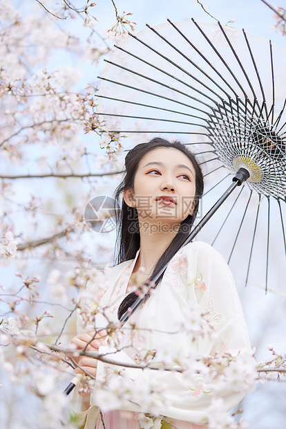 古风汉服樱花美女撑伞图片