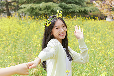 油菜花田花季少女背景图片