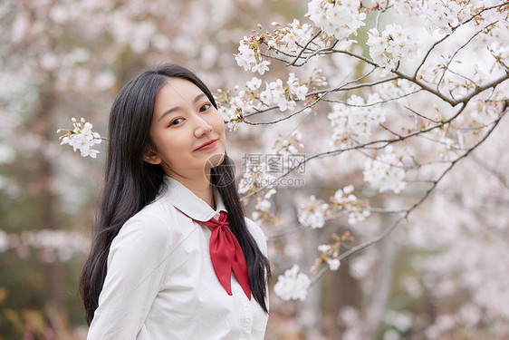 春季樱花少女逛公园赏花图片