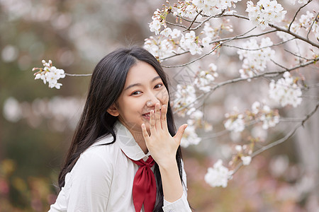 春季樱花少女写真图片