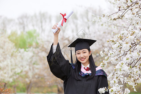 樱花林毕业季樱花清纯可爱少女背景