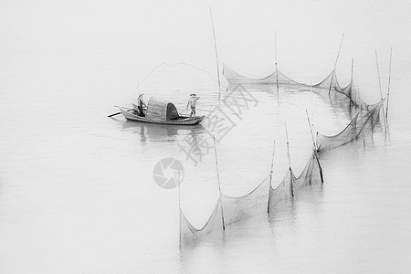 黑白照片国风扑鱼黑白图片背景