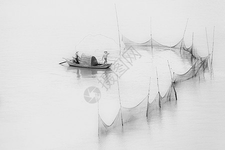 国风扑鱼黑白图片图片