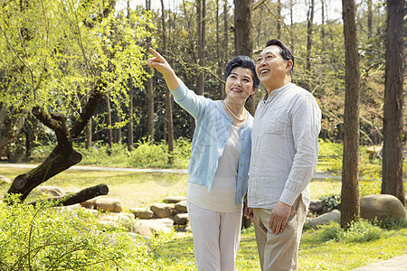 公园踏青的老年夫妇图片