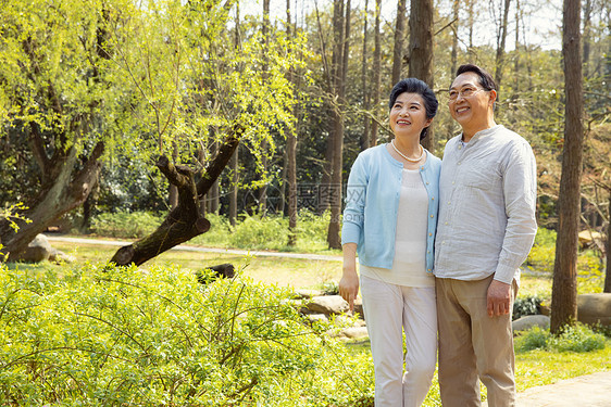 公园踏青的老年夫妇退休生活图片