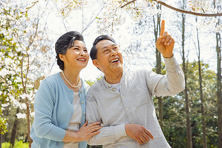 公园踏青的老年夫妇退休生活高清图片