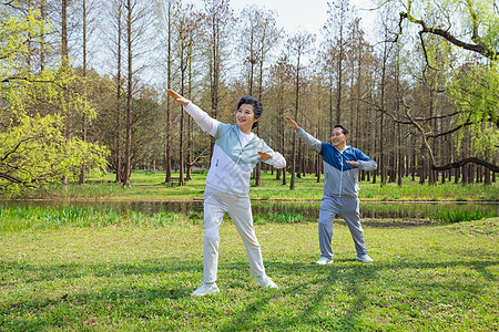 公园夫妻老年夫妇公园晨练背景