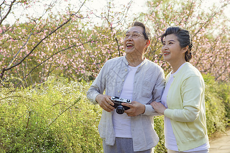 三亚风景幸福老人图片