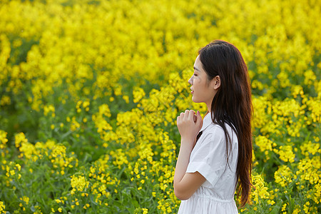 在花田祈祷的女性图片