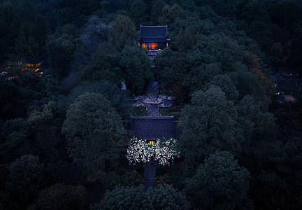 江苏南京清凉山崇正书院绣球花夜景图片