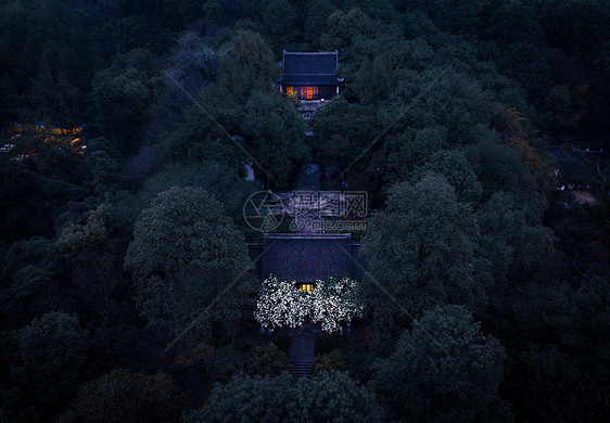 江苏南京清凉山崇正书院绣球花夜景图片