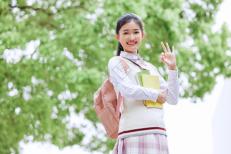 穿校服的女学生图片 穿校服的女学生素材 穿校服的女学生高清图片 摄图网图片下载