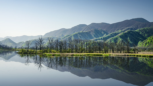 湖北神农架林区大九湖自然风景图片