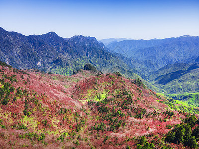 湖北神农架林区神农顶神农谷图片