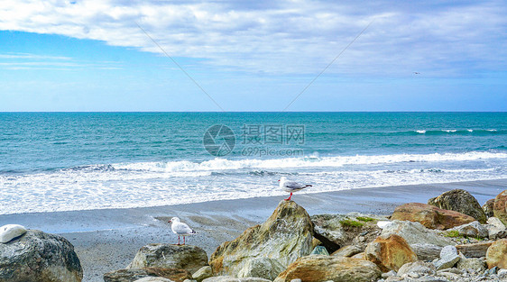 新西兰南岛海滩风光图片