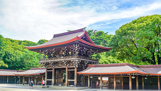 东京明治神宫夏日风光图片