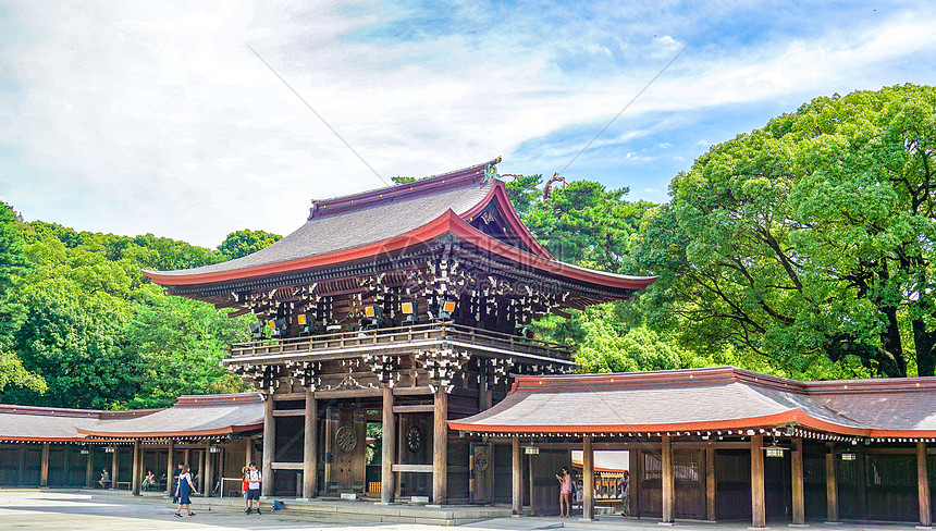 东京明治神宫夏日风光图片