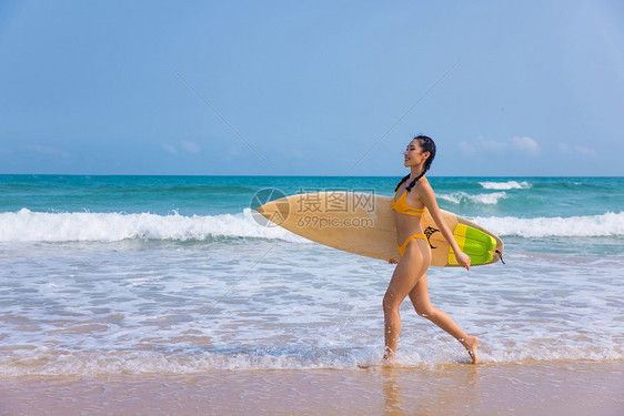 海边比基尼美女手拿冲浪板行走图片