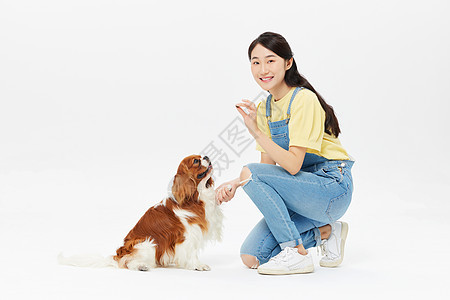 爱宠美女喂食查理王犬图片