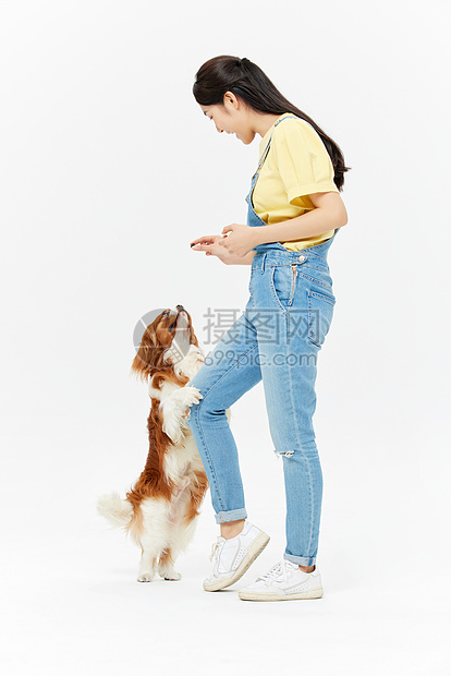 爱宠美女喂食查理王犬图片