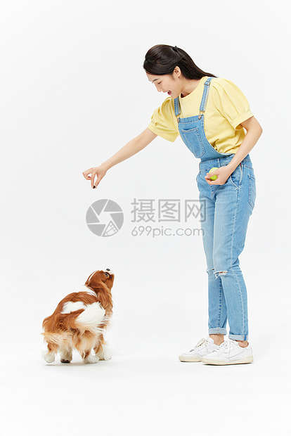 爱宠美女喂食查理王犬图片