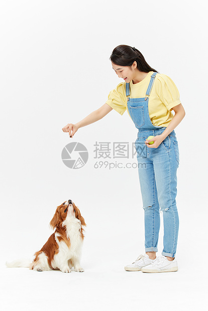 爱宠美女喂食查理王犬图片