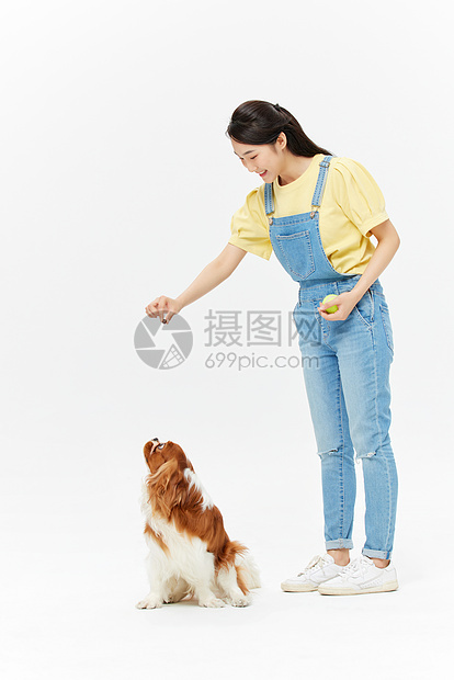 爱宠美女喂食查理王犬图片