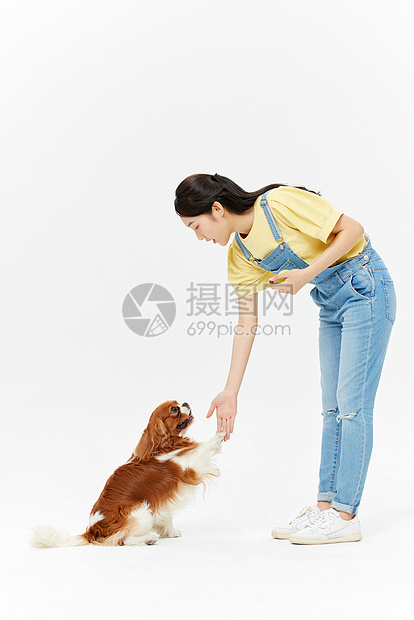 查理王犬与美女主人握手图片