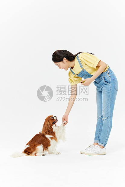 查理王犬与美女主人握手图片