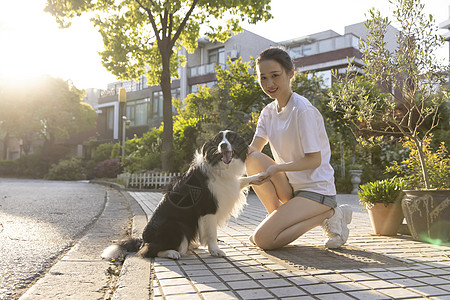 美女主人住宅区户外宠物生活背景图片