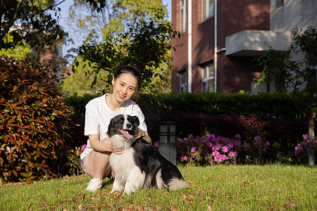 年幼牧羊犬美女主人户外草地遛狗背景