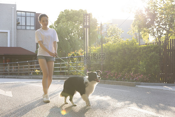 美女小区里遛宠物狗狗图片