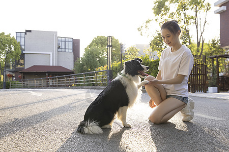 美女主人园区户外宠物生活图片