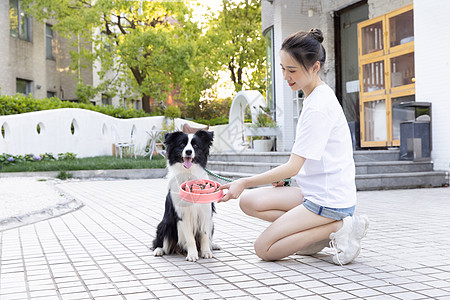 美女主人院子里喂宠物狗狗吃狗粮高清图片