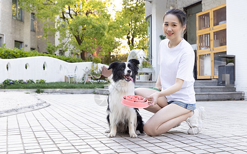 美女主人院子里喂宠物狗狗吃狗粮高清图片