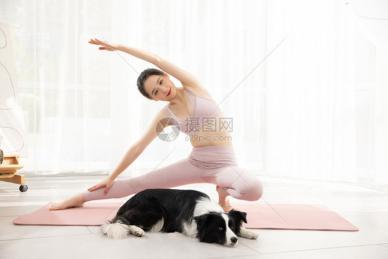 宠物狗狗居家陪伴美女主人练瑜伽图片