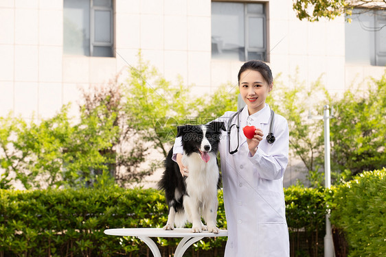 女性宠物医生医疗体检形象图片