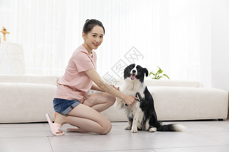 美女和宠物牧羊犬练习握手图片