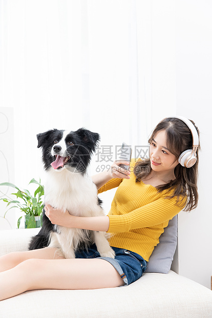 美女主人给宠物牧羊犬拍照图片