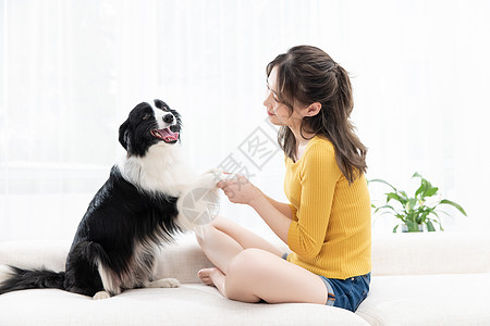 美女和宠物牧羊犬欢乐玩耍图片