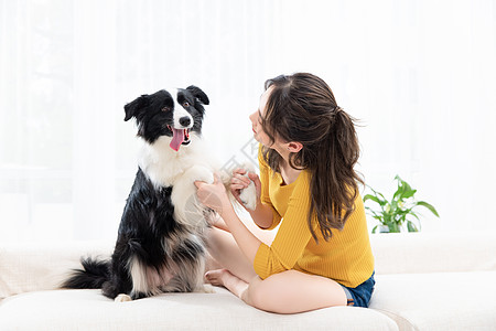 美女和宠物牧羊犬欢乐玩耍背景图片