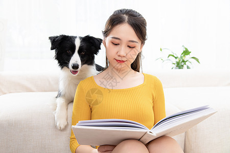 美女看书和宠物牧羊犬居家相伴图片