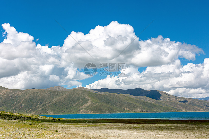 西藏羊卓雍错羊湖图片