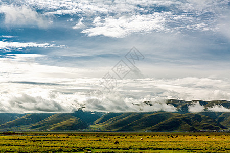 西藏草原晨雾缭绕图片