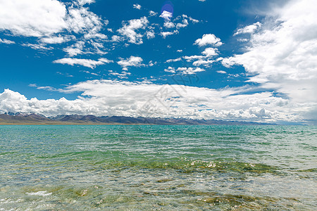 高原夏菜西藏纳木措湖泊背景