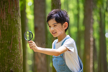 小男孩暑期课外生活观察树木图片