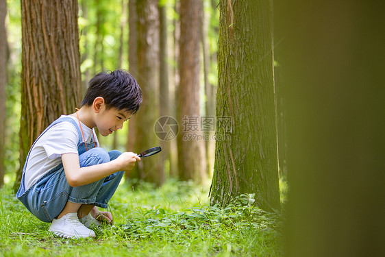 小男孩暑期课外生活图片