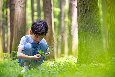 小男孩使用放大镜观察植物图片