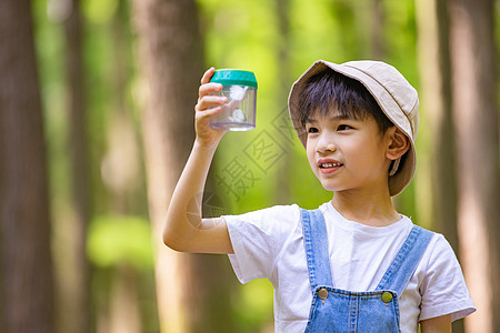 小男孩专注观察蝴蝶图片